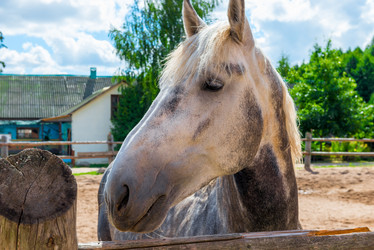 Similar image 10938887