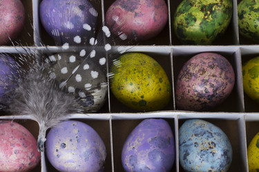 Similar image 10931156