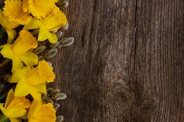 Similar image 10931075