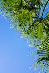 Similar image 10931253