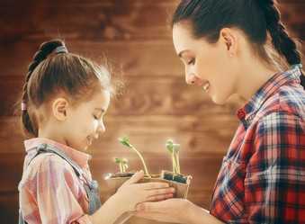 Similar image 10928082