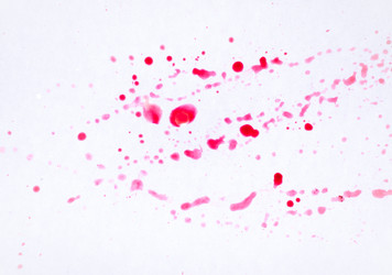 Similar image 10931324