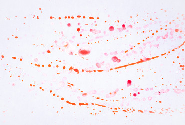 Similar image 10931325