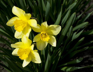 Similar image 10926774