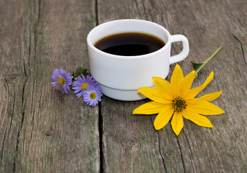 Similar image 10926779