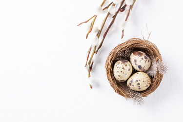 Similar image 10927706