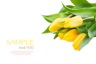 Similar image 10927717