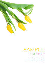 Similar image 10927718