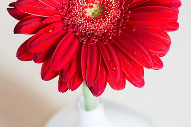 Similar image 10926578