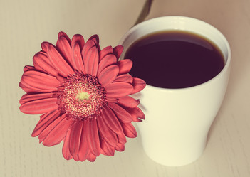 Similar image 10926581