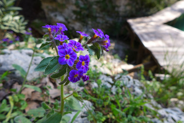 Similar image 10928228