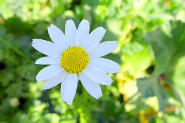 Similar image 10928247