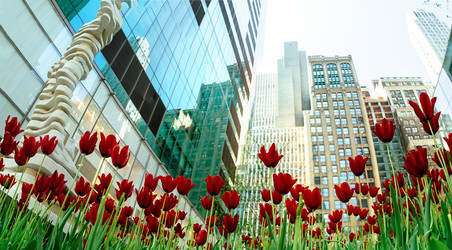 Similar image 10927467