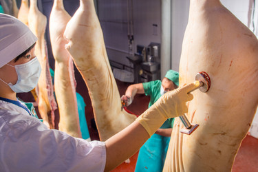 Similar image 10945021