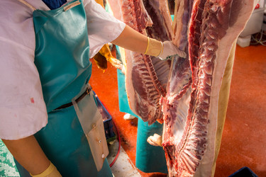 Similar image 10937618