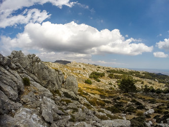 Similar image 10931582