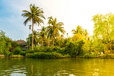 Similar image 10931597