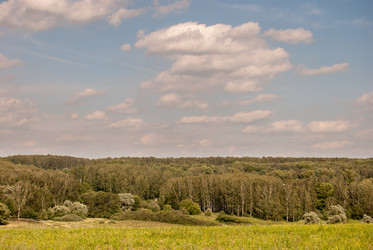 Similar image 10931598