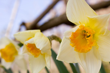 Similar image 10930076