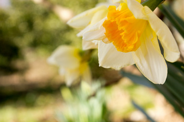 Similar image 10930077