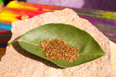 Similar image 10930078