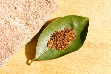 Similar image 10930079