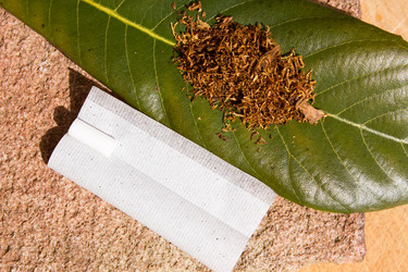 Similar image 10930062