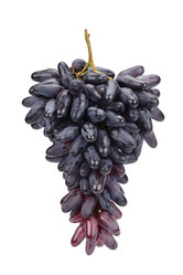 Similar image 10928452