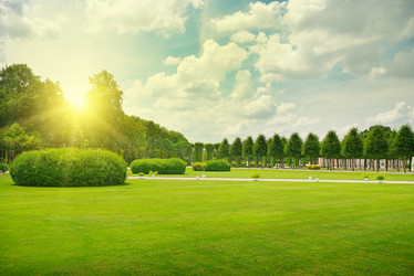 Similar image 10927448