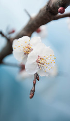 Similar image 10927460