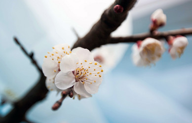 Similar image 10927461