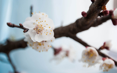 Similar image 10927462