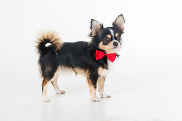 Similar image 10954119