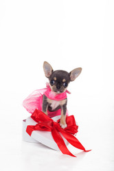 Similar image 10954120