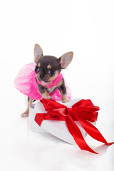 Similar image 10954121