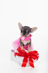 Similar image 10954124