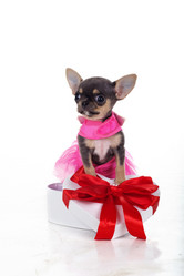 Similar image 10953439