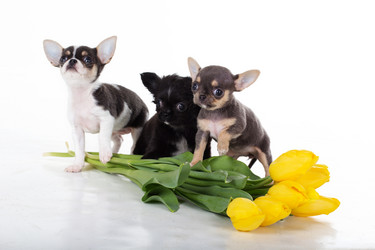 Similar image 10953441