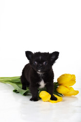 Similar image 10953442