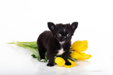 Similar image 10953444