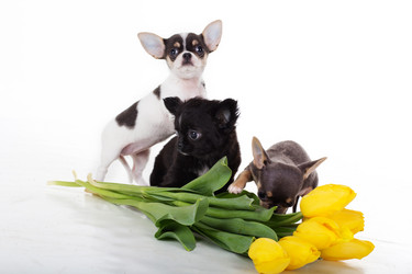 Similar image 10953445