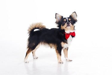 Similar image 10953447