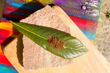 Similar image 10930082