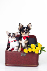 Similar image 10953598