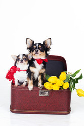 Similar image 10953599