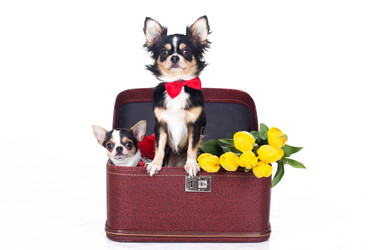 Similar image 10953600