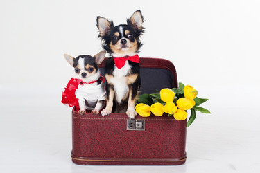 Similar image 10953601