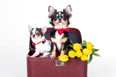 Similar image 10953602