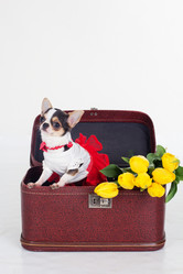 Similar image 10953603