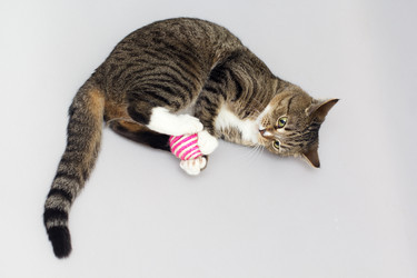 Similar image 10953605